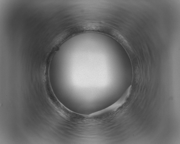 X0000073980490200609051915