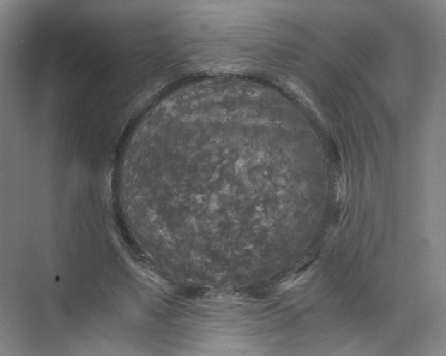 X0000073980491200609051915