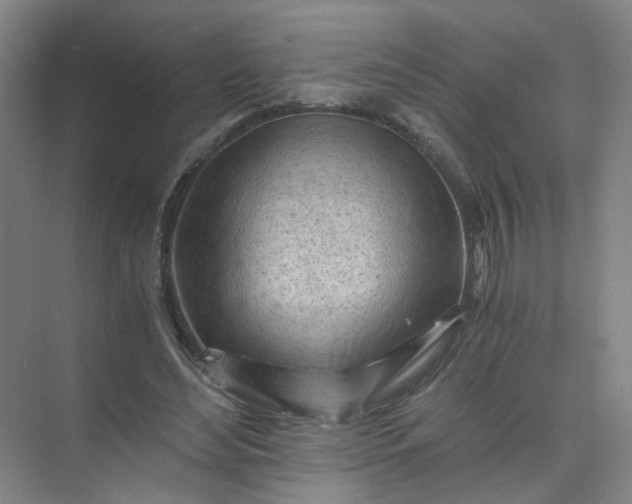 X0000073980492200609051915