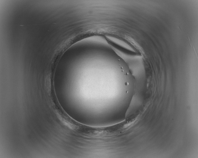 X0000073980493200609051915