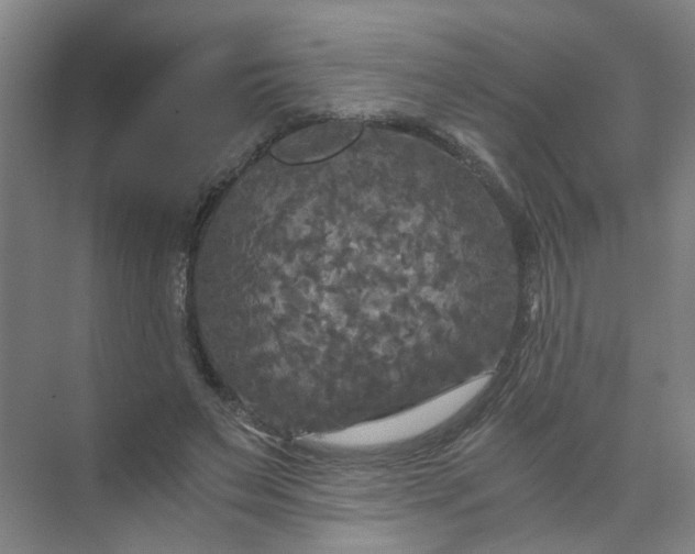 X0000073980495200609051915