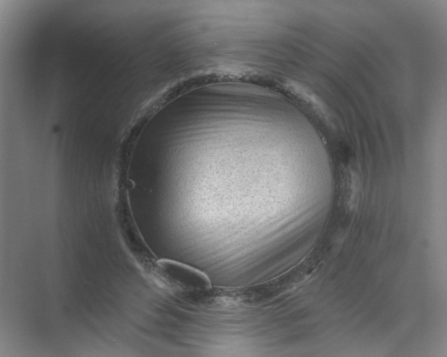 X0000073980496200609051915