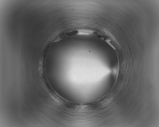 X0000073980497200609051915