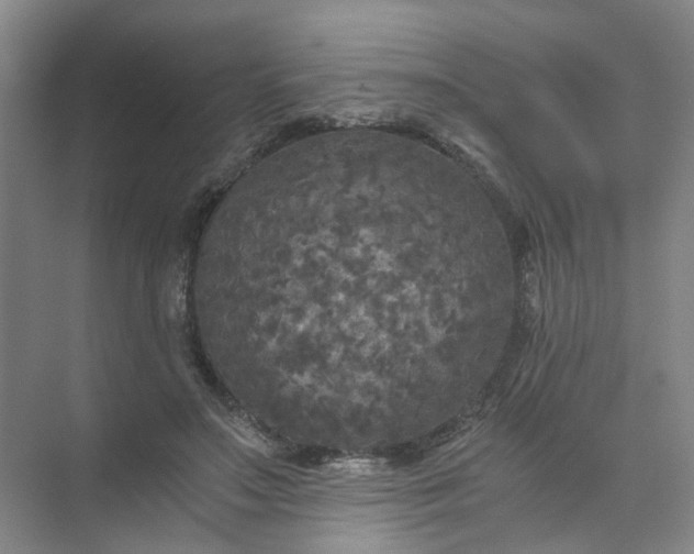 X0000073980499200609051915