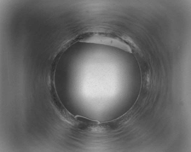 X0000073980500200609051915