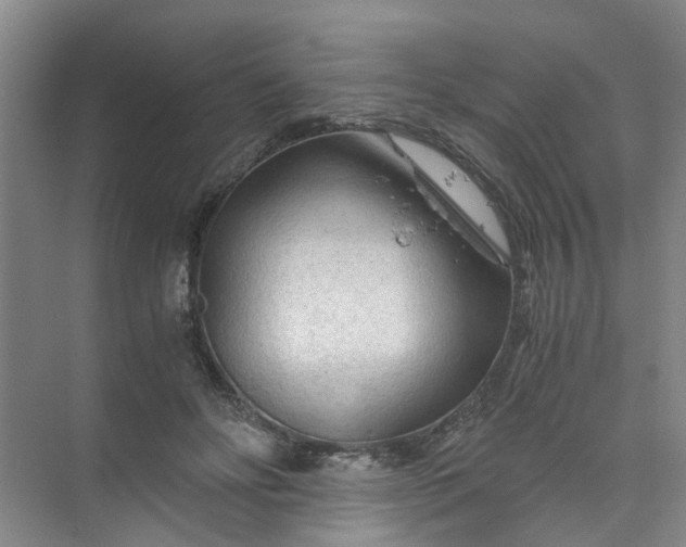 X0000073980502200609051915