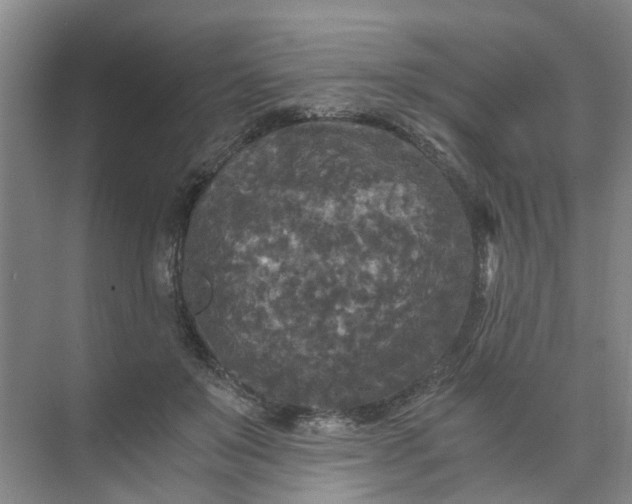 X0000073980503200609051915