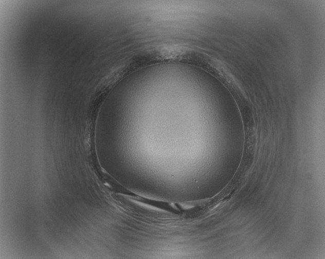 X0000073980505200609051914