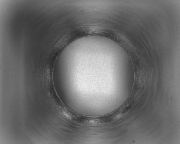 X0000073980506200609051914