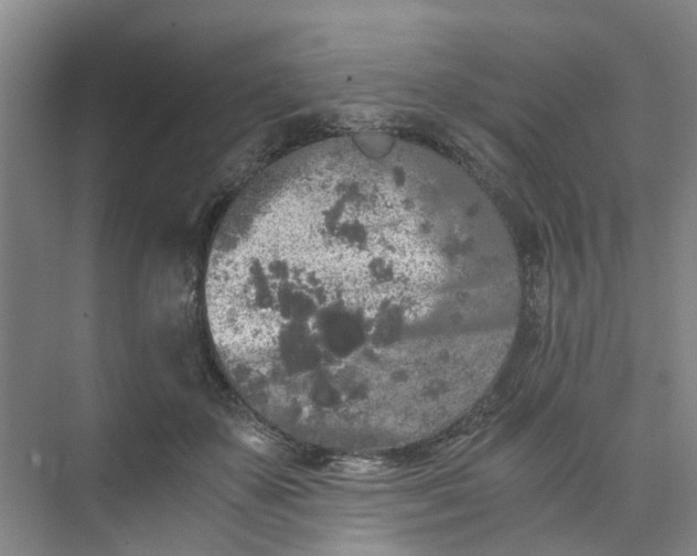 X0000073980507200609051914