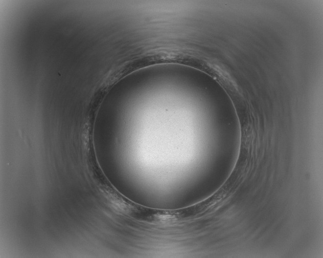 X0000073980509200609051914