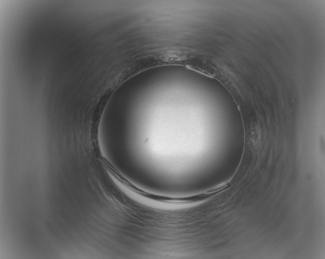 X0000073980512200609051914