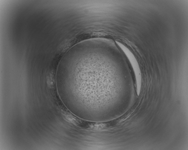 X0000073980517200609051914