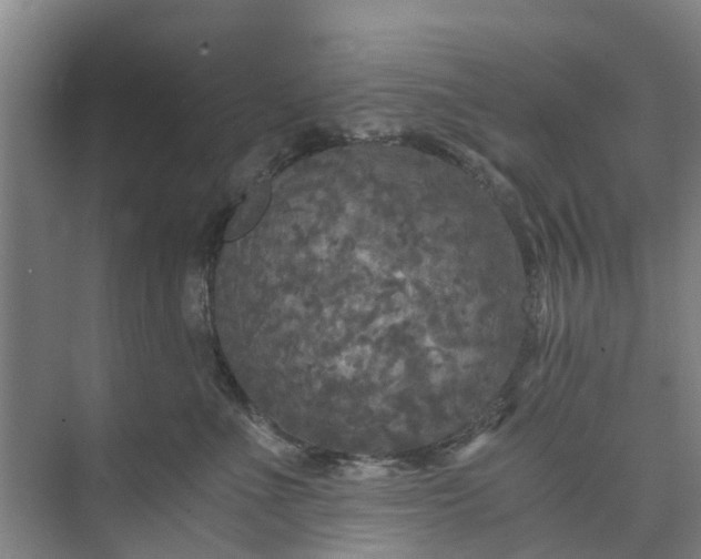 X0000073980523200609051914