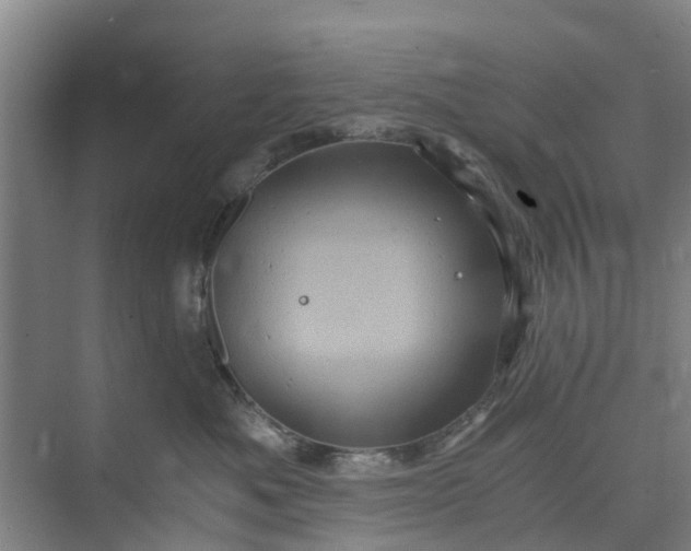 X0000073980525200609051914