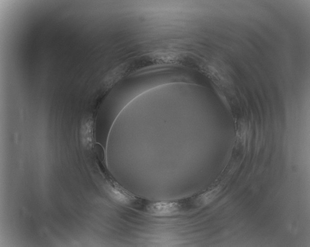 X0000073980526200609051914