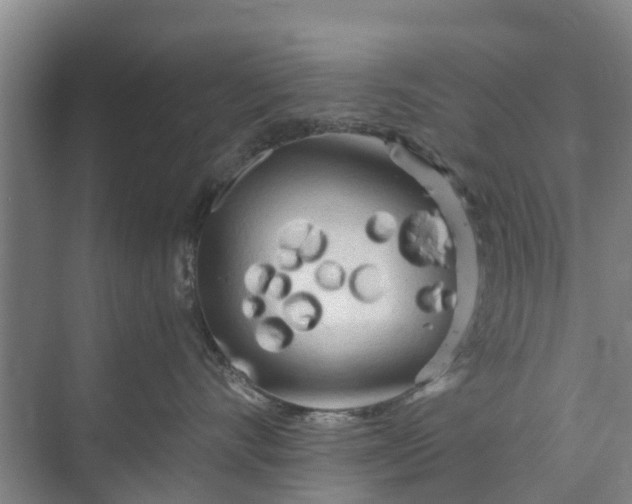 X0000073980528200609051914