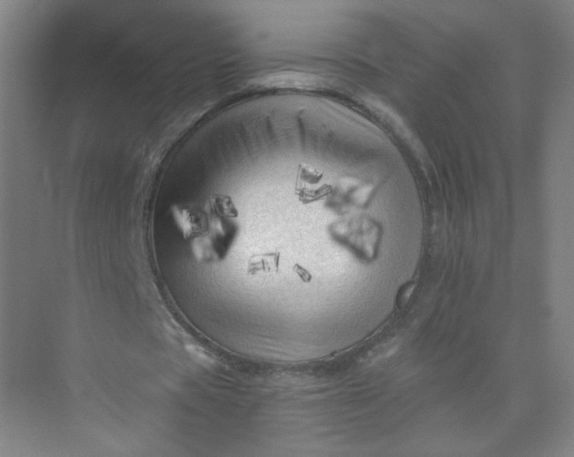 X0000073980529200609051913