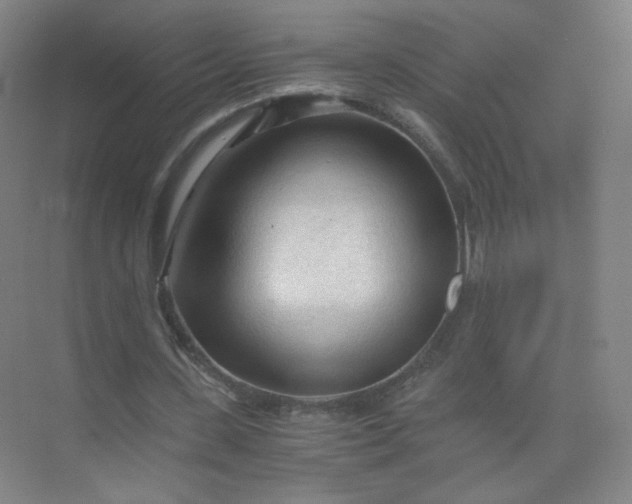 X0000073980531200609051913