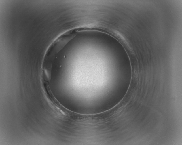 X0000073980532200609051913