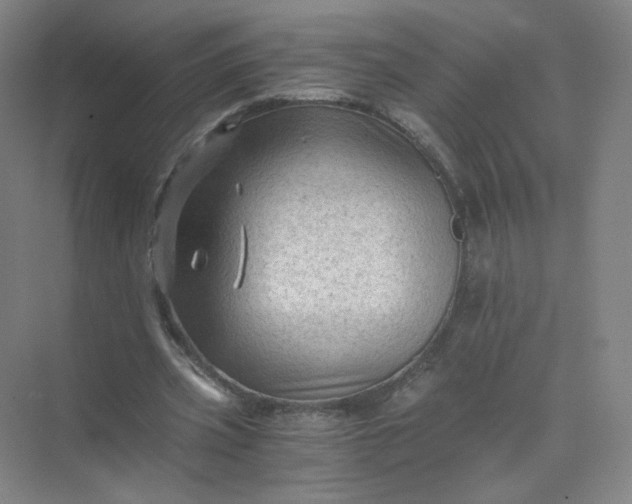 X0000073980533200609051913