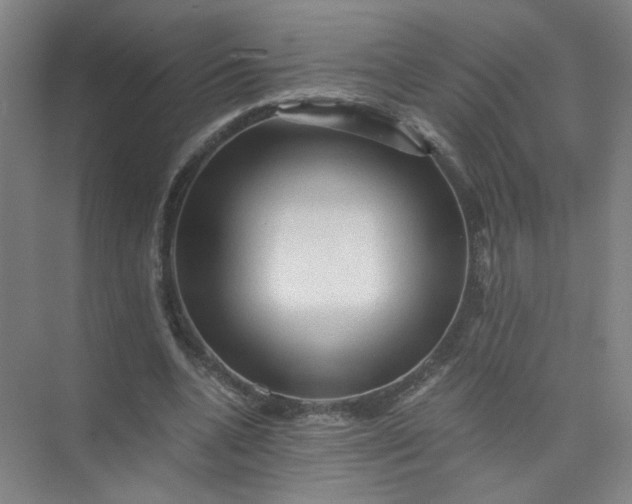 X0000073980536200609051913