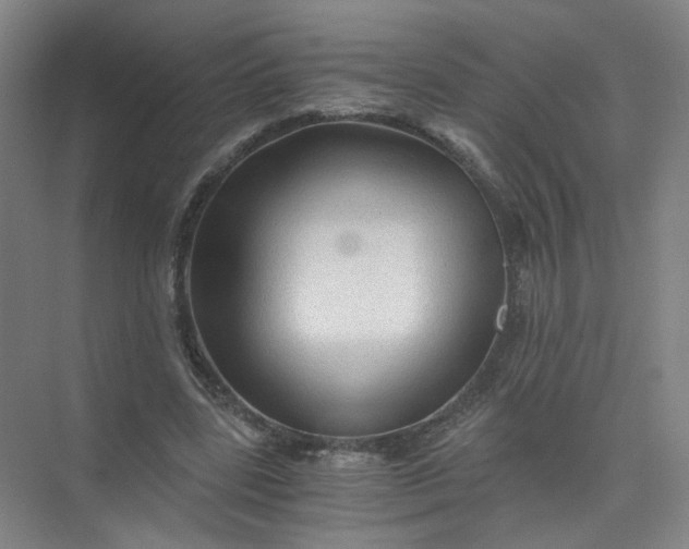 X0000073980539200609051913