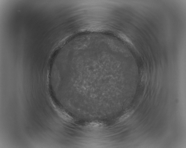 X0000073980542200609051914