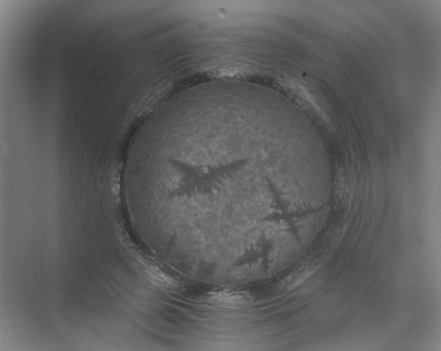 X0000073980545200609051914