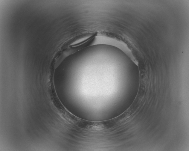 X0000073980548200609051914