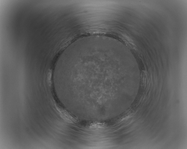 X0000073980550200609051914