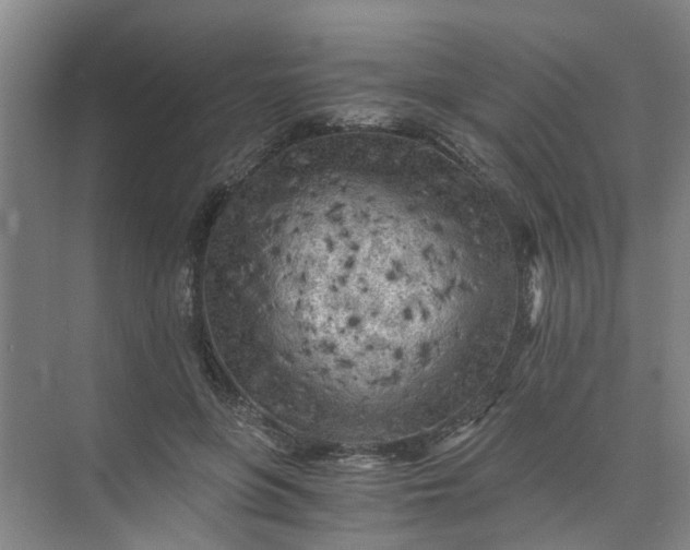 X0000073980551200609051914