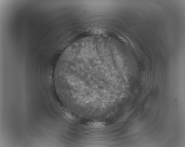 X0000073980553200609051914