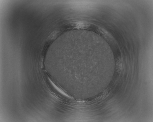 X0000073980554200609051914