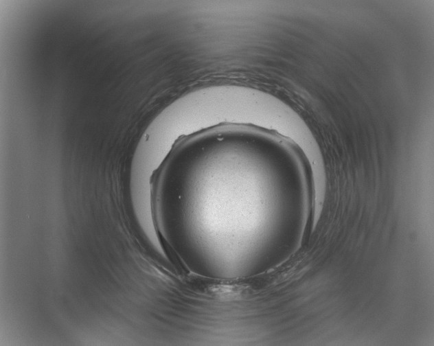 X0000073980558200609051914