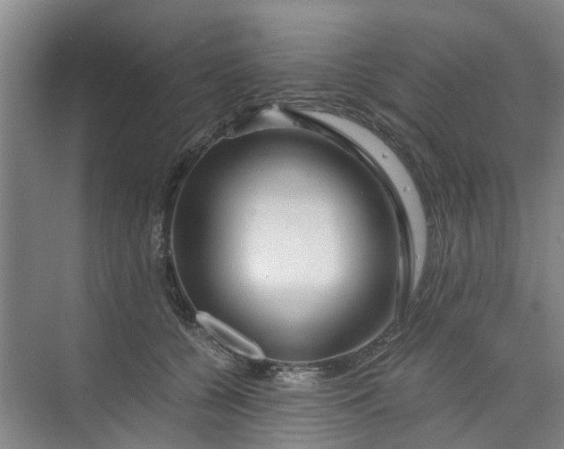 X0000073980560200609051914