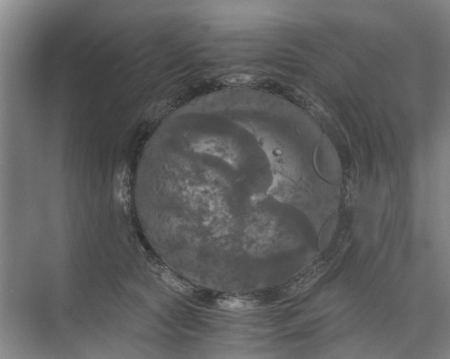 X0000073980561200609051914