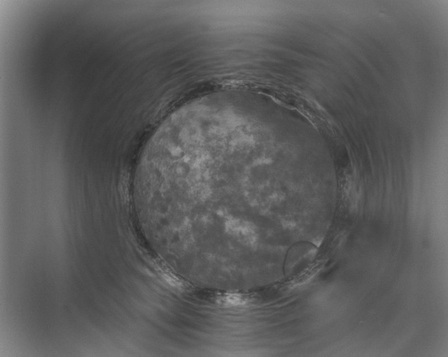 X0000073980565200609051914