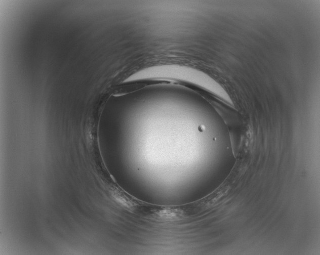 X0000073980566200609051914