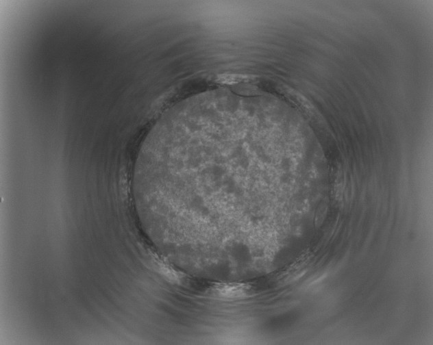 X0000073980569200609051914