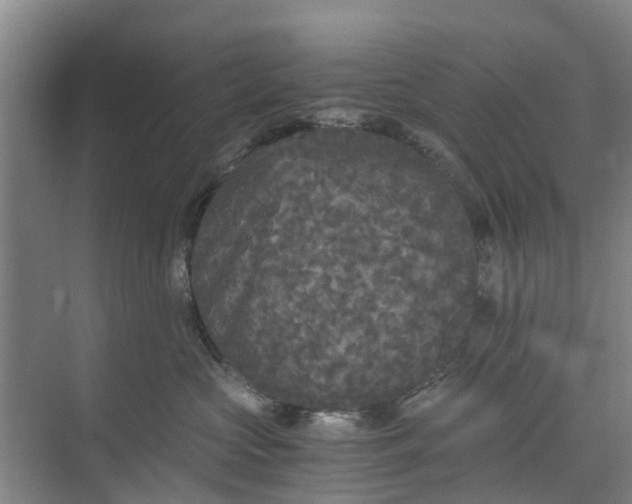 X0000073980573200609051914