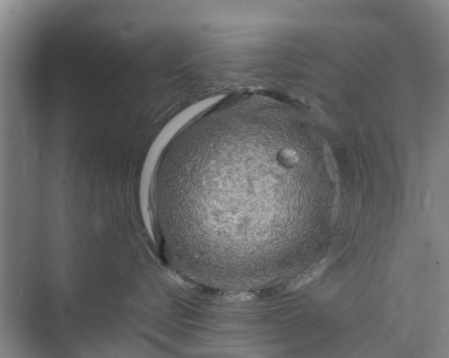 X0000073980576200609051914