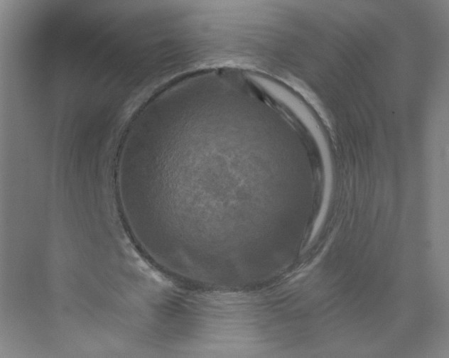 X0000073980577200609051913