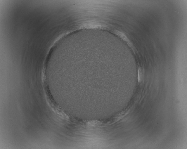 X0000073980579200609051913