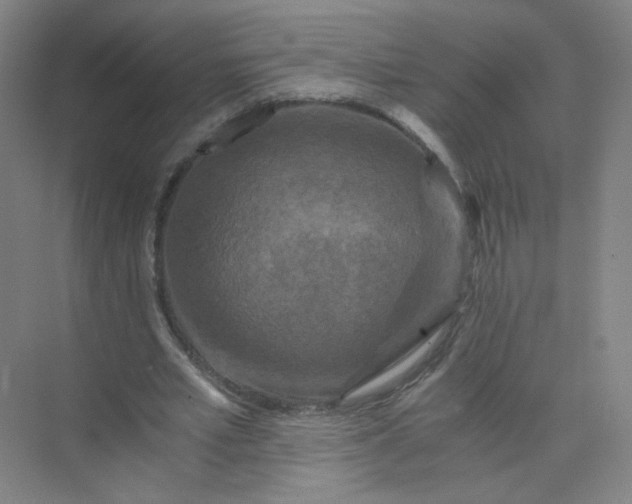 X0000073980581200609051913