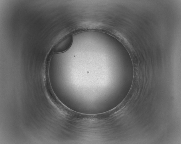 X0000073980582200609051913