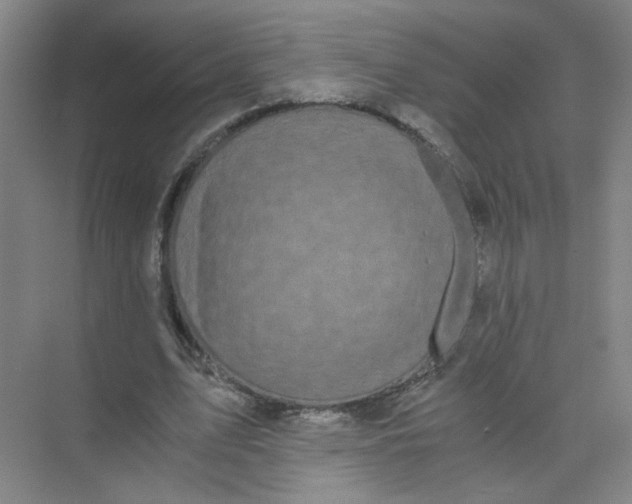 X0000073980583200609051913