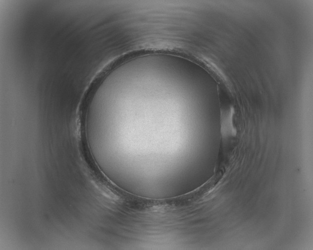 X0000073980584200609051913