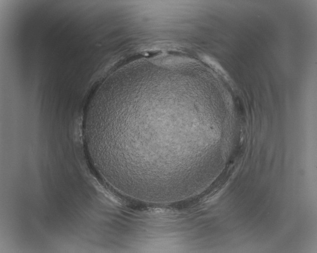 X0000073980585200609051913