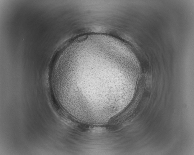 X0000073980587200609051913